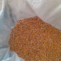 ذرت برزیلی درجه یک سبوس گندم