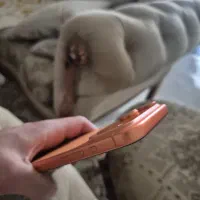 Iphone 17 pro max نارنجی|موبایل|خرم‌آباد, |دیوار