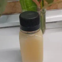 روغن شتر مرغ اصل اصل