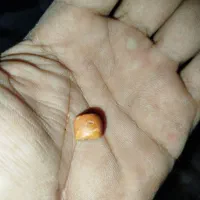 مهره با اصالت|کلکسیون اشیاء عتیقه|جیرفت, |دیوار