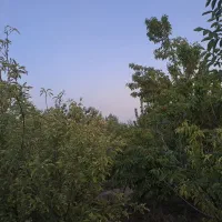 باغ دور دیوار۱۱۳۵|فروش دفتر صنعتی، کشاورزی، تجاری|دماوند, دماوند|دیوار