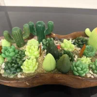 شمع پینترسی