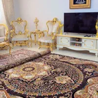زیرقیمت بازار نو جهت خرید تماس بگیرید|فرش|تربت‌حیدریه, آبشار|دیوار