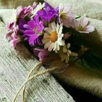 اجاره خانه ویلایی ۲۰۰ متری ۱ خوابه|اجارهٔ خانه و ویلا|اردبیل, |دیوار