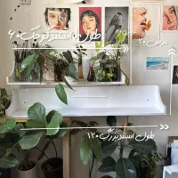 شلف یا استند دیواری