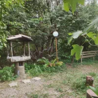 خونه مادربزرگه ( لوکیشن تاسیان و سوجان)|اجارهٔ کوتاه‌مدت ویلا و باغ|سیاهکل, |دیوار