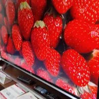 الیدی43اینچ الجی هوشمند اصلی اصلی کره درحداکبند