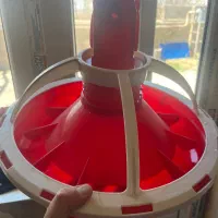 دان خوری بشقابی مدل تاوسان