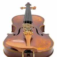 ویولن فندر رزوود سایز ۴/۴ جعبه مستطیل|ویولن|تهران, پونک|دیوار