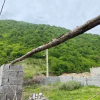 زمین ۲۰۰متری منطقه توریستی دور دیوار دونبش سنددار|فروش زمین و ملک کلنگی|چمستان, |دیوار