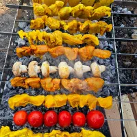 منقل تاشو کباب تخصصی|کوهنوردی و کمپینگ|تهران, امانیه|دیوار