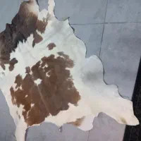 فرش