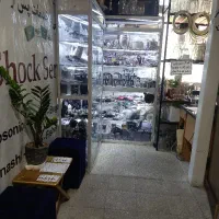 تعمیرکار لوازم ریز خانگی