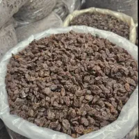 پخش کشمش تاکستان داریوش