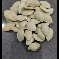 تخمه|خوردنی و آشامیدنی|خارک, |دیوار