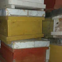 کندوی خالی درحد صفر