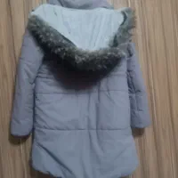 کاپشن|لباس|شیراز, فرگاز|دیوار