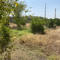 باغچه850-متری-لوکس-کنتور-اب-و-برق
