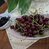 آلبالو تازه چین