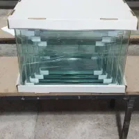 استخدام نیروی کار خانم و آقا