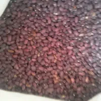 فروش لوبیا سفید ..قرمز