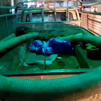 شیلنگ بتن ریزی ارتفاع ۵ اینچ|مصالح و تجهیزات ساختمان|تهران, ابوذر|دیوار