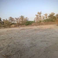 زمین کنار شهرک امام حسین سمت بیمارستان ابولفضل|فروش زمین و ملک کلنگی|میناب, |دیوار
