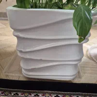 گل دان چینی|گل و گیاه طبیعی|محمدشهر, همایون ویلا|دیوار