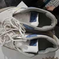 کفش سالم نو|کیف، کفش، کمربند|مشهد, موعود|دیوار