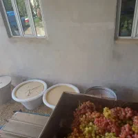ابگیری پرس انگور وگوجه