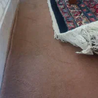 ۳۷ متر موکت سالم و تمیز|موکت|همدان, |دیوار