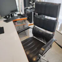 تعدادی صندلی اداری|دفتر کار|قم, قلعه یزدیها|دیوار