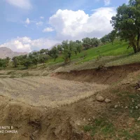 زمین جهت طرحهای صنعتی
