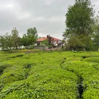 خونه و‌محوطه بهشتی خوش قیمت
