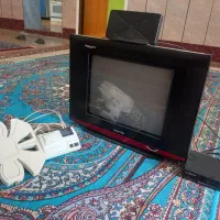 تلویزیون