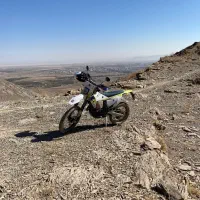 فلات طرح هاسکی 1404