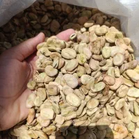 باقله درجه یک