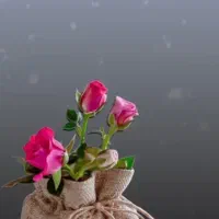 استخدام باریستای خانم