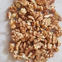 گردو