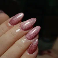 خدمات ویژه شب یلدا