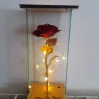 باکس گل زیبا