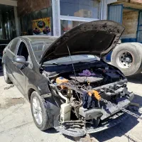 خواهان صافکار ماهر