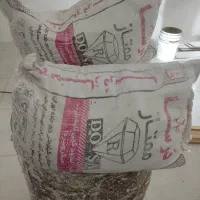 گچ دیوار