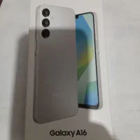 A 16