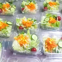 سالاد فصل تک نفره ۱۱۰۰۰