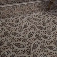 فرش جفت ۶ متری سالم و بسیار محکم
