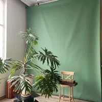 پرده کروماکی عکاسی و تصویربرداری