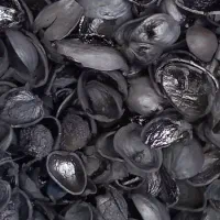 کربن پوست پسته