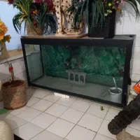 اکواریوم