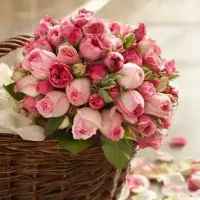 جویای کار مناسب هستم